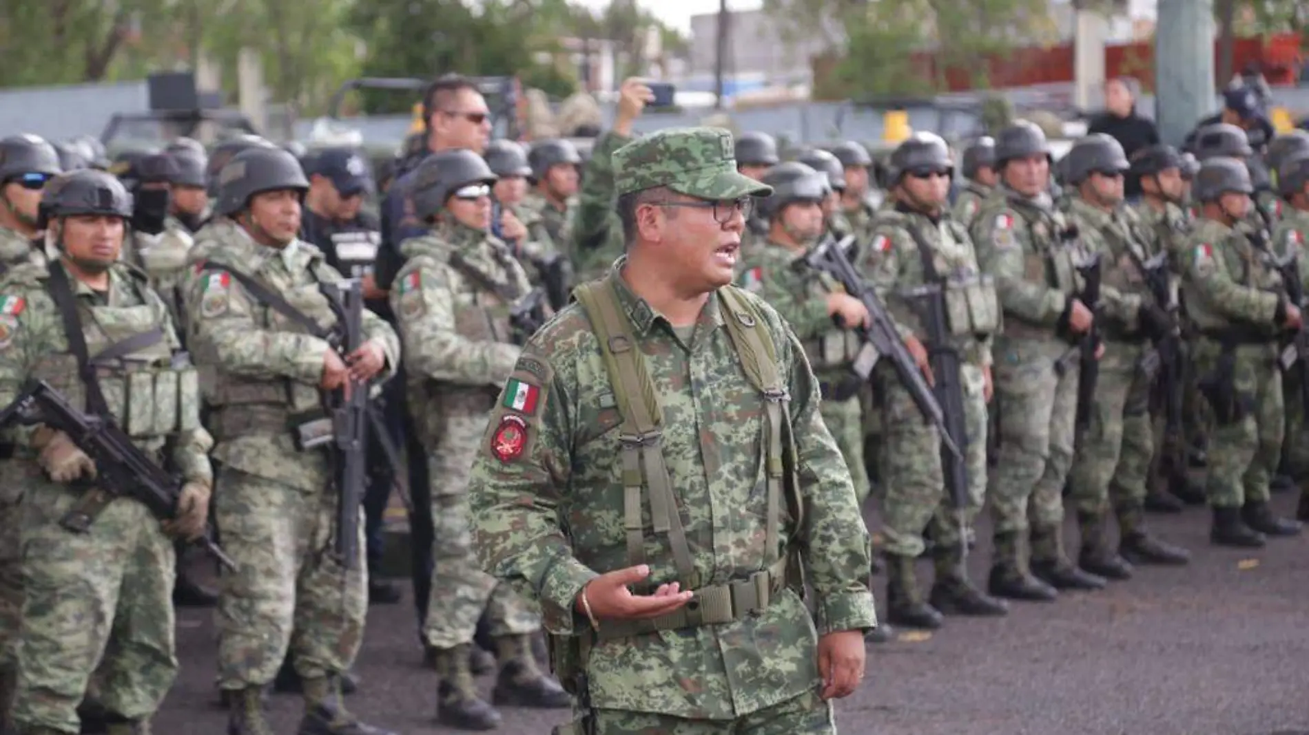 Elementos de seguridad pública